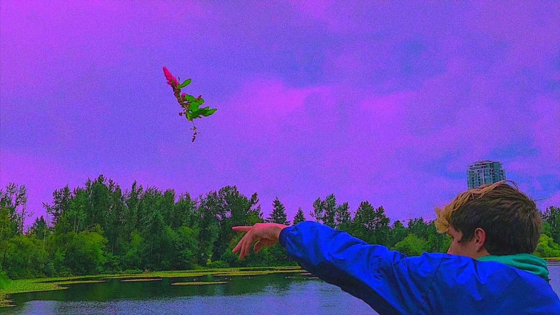 powfu throwing a flower into a pond